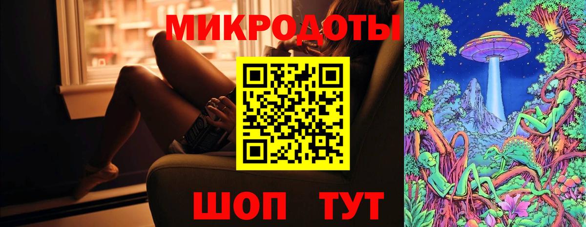 Псилоцибиновые грибы мицелий Люберцы